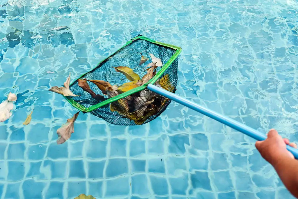 The Invisible Swimmers: What's Really Lurking in Your Pool Water