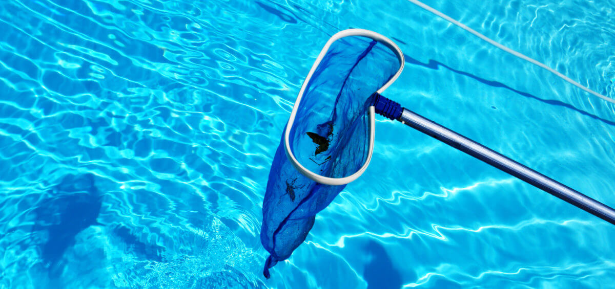 The Awkward Truth: Is Your Pool a Secret Toilet? What Science Says About Swimming in Pee