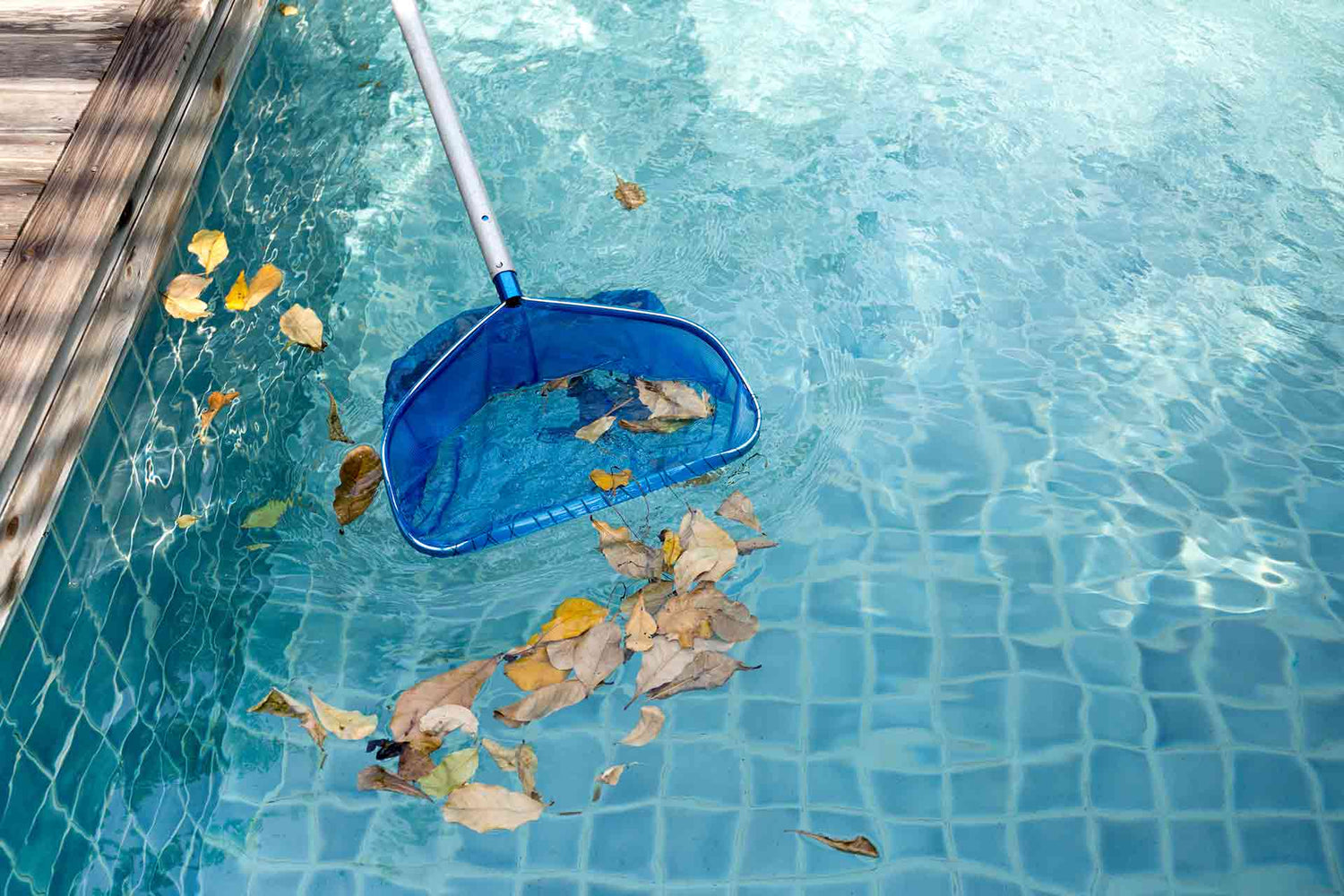 8 Gross Signs Your Swimming Pool is Secretly Filthy