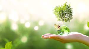Beyond Greenwashing: The Real Deal on Sustainable Cleaning in 2025