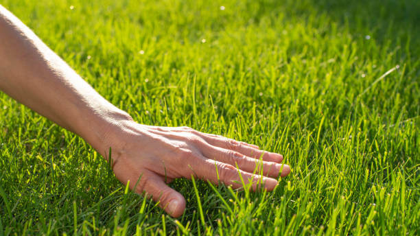 Advanced Tips for Smart Lawn Mowers: Keeping Your Yard in Perfect Shape