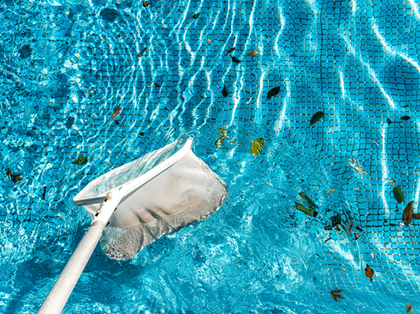 9 Telltale Signs Your Pool is Secretly Begging for a Cleaning